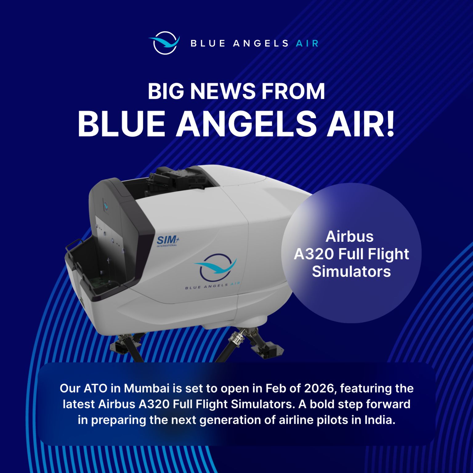 Blue Angels Air - Pilot Training AFM.aero