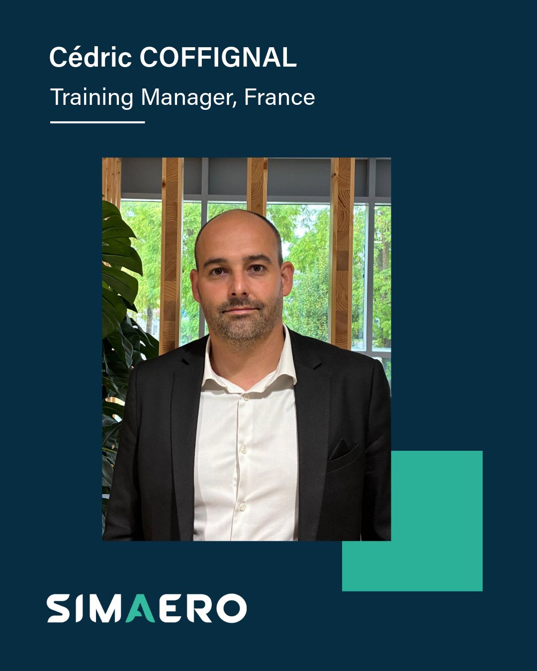 Simaero - Pilot Training AFM.aero