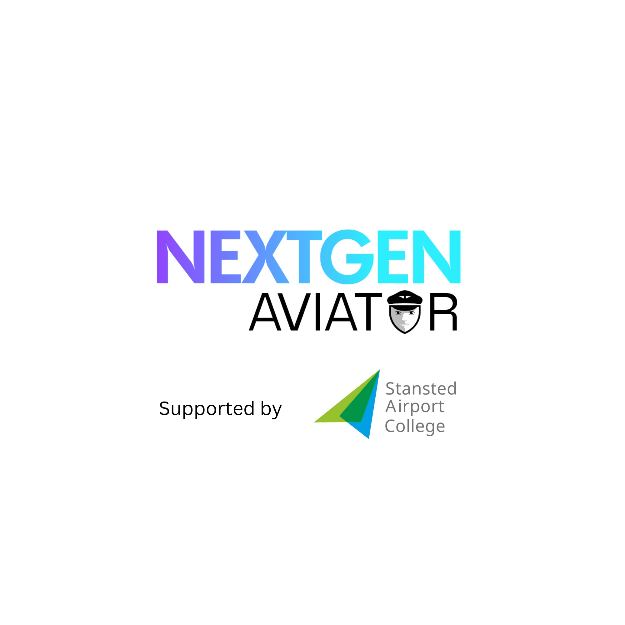 Resilient Pilot - Pilot Training AFM.aero